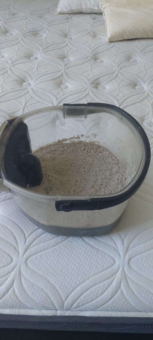 Dirty water result after deep cleaning of a mattress by Pro Aqua Dubai